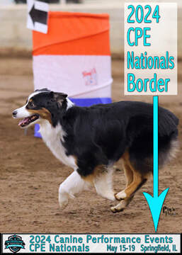 DCA National Specialty Border