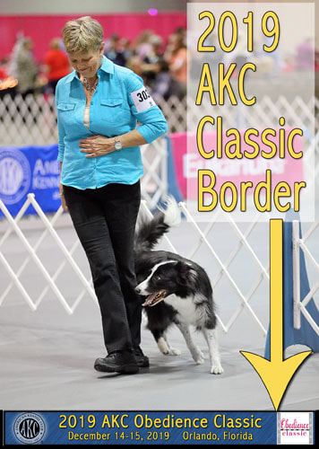 AKC Classic Border