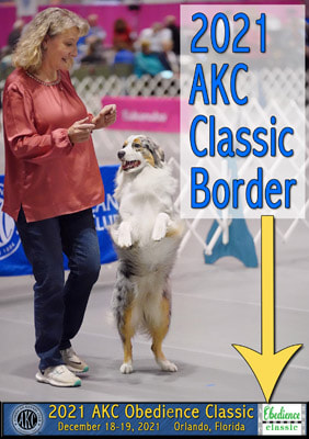 AKC Classic Border