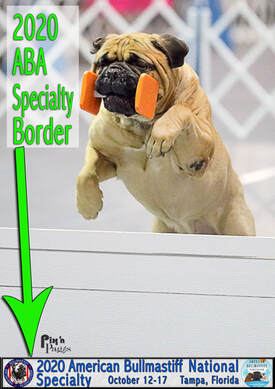 DCA National Specialty Border